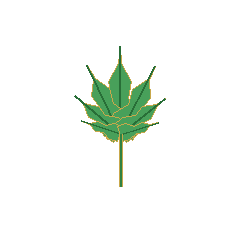 cannabis leaf